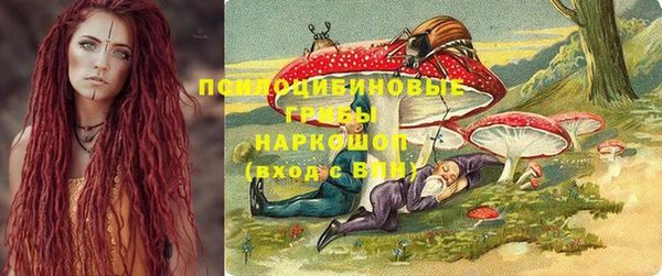 стафф Магадан