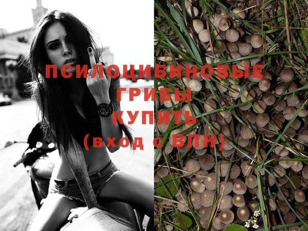 мяу мяу кристалл Майский
