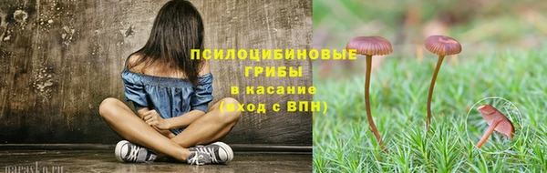 стаф Куйбышев