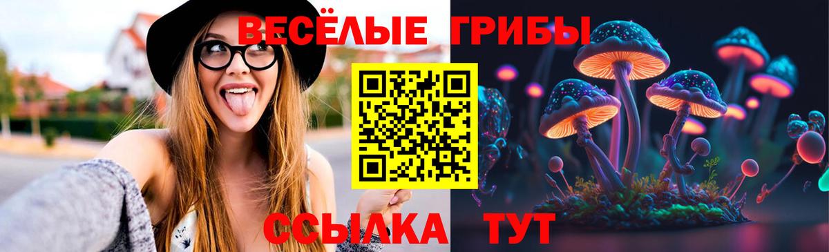 Галлюциногенные грибы GOLDEN TEACHER Кудымкар
